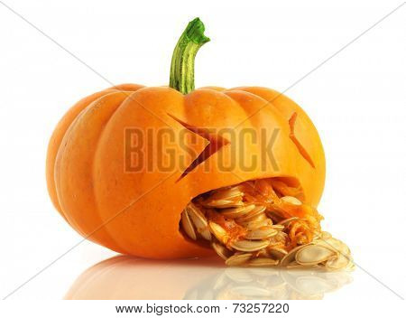 Pumpkin being sick