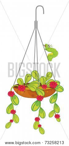 Illustration of a hanging flowering plant on a white background
