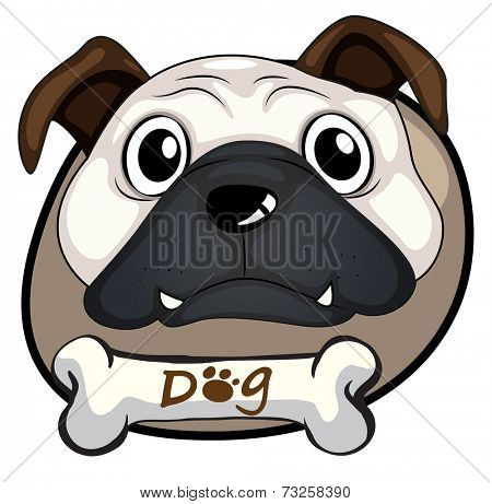 Illustration of a head of a bulldog on a white background