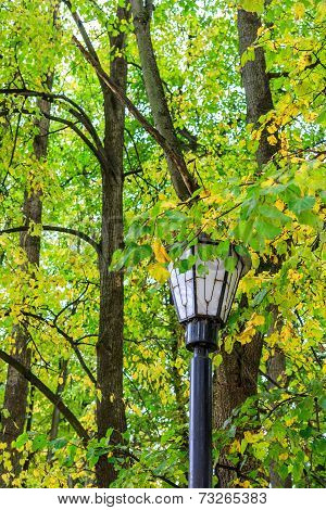 Lantern In Autumn Park