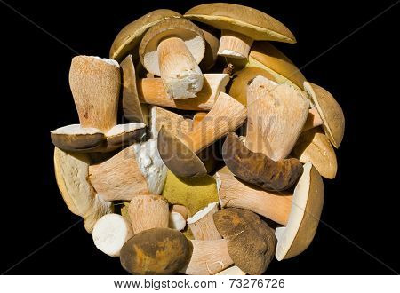 Heap Of Mushrooms
