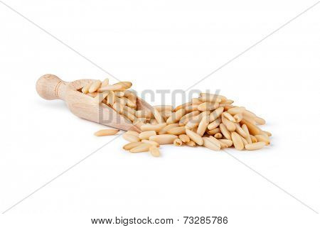 wooden scoop with pine nuts on a white background