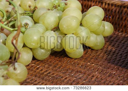 Clusters Of Mature Grapes After The Harvest In The Winery