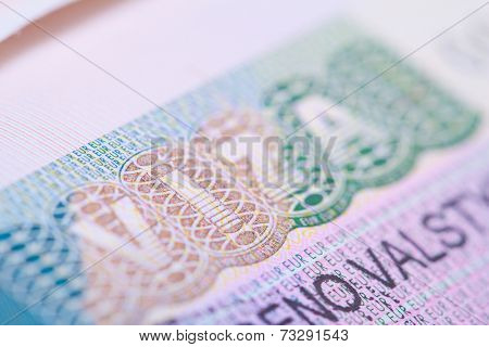 visa in a passport macro