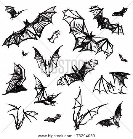 Vector Isolated Bats