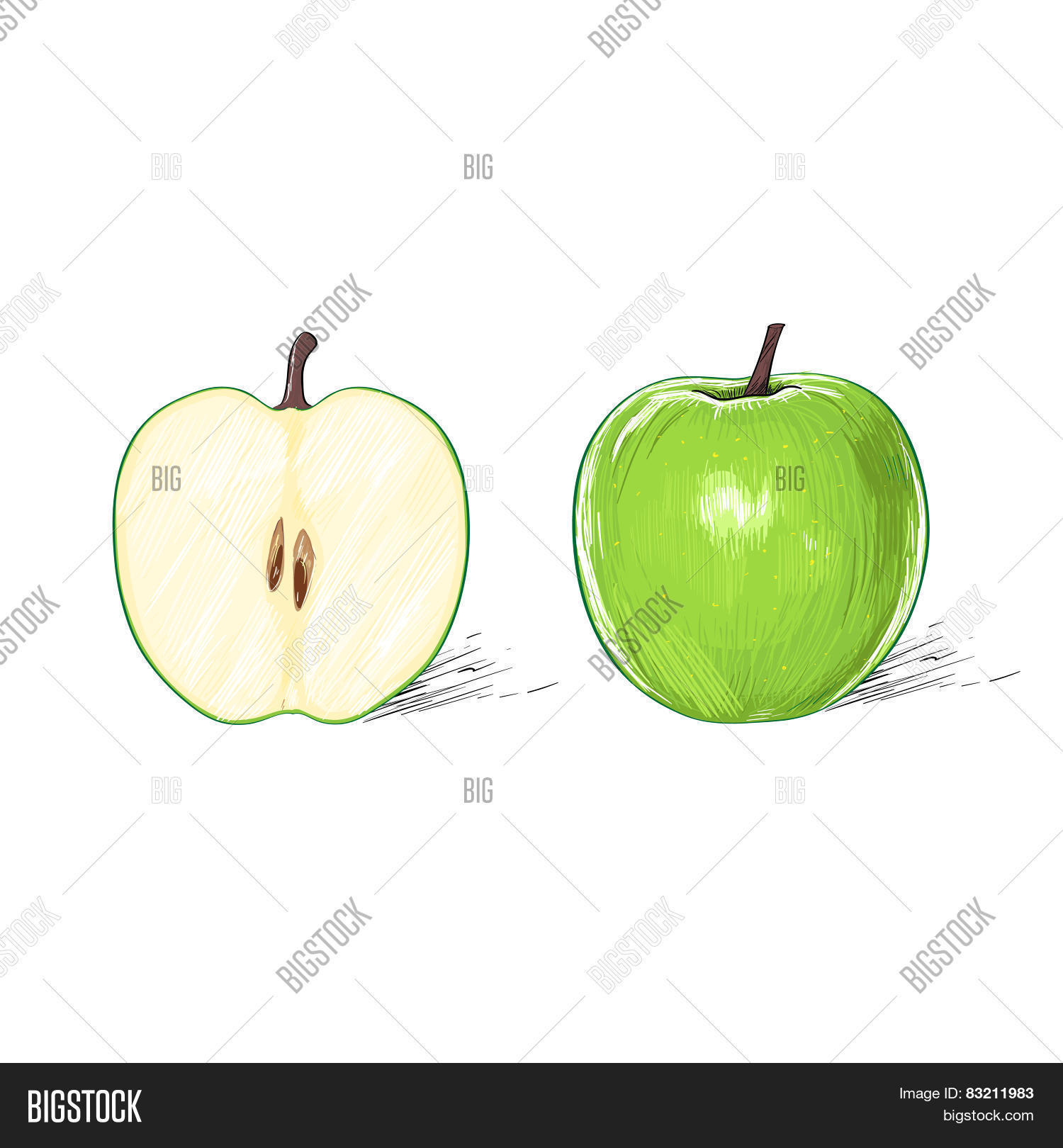Green Apple Cut Half Vector Photo Free Trial Bigstock