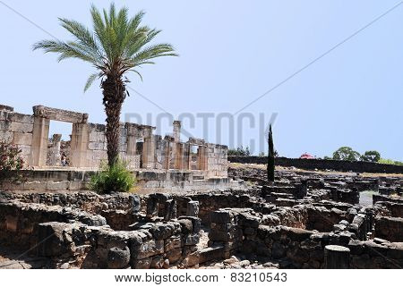 Travel Photos Of Israel - Sea Of Galilee