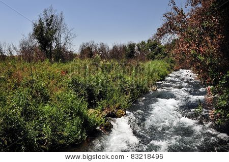 Dan River-israel