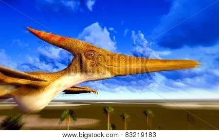 Flying pterodactyl over the land