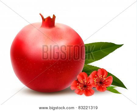 Juicy pomegranate with leaves. Vector