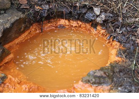 Source Of Mineral Water Seltzer