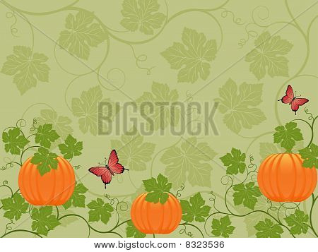 Pumpa
