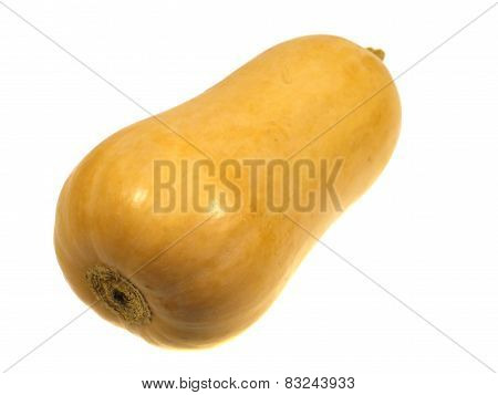 A pumpkin butternut type or bell type