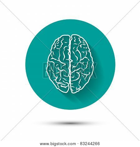 Human brain vector icon flat illustraton with shadow