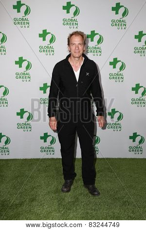 LOS ANGELES - FEB 18:  Julian Sands at the Global Green USA's 12th Annual Pre-Oscar Party at a Avalon on February 18, 2015 in Los Angeles, CA