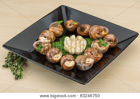 Escargot