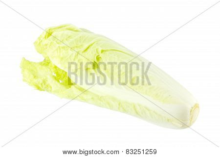 Chinese Cabbage