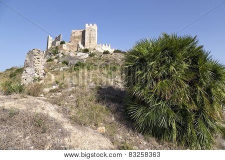 Castle Of Xivert
