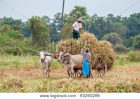 Myanmar Travel