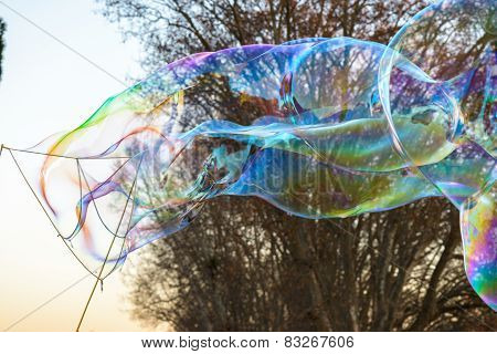 Bubbles