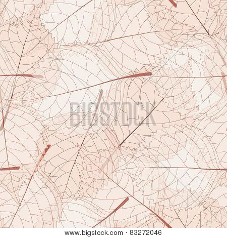 Transparent Leaves