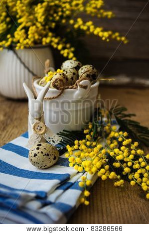 Spring Time, Yellow Mimosa Flowers
