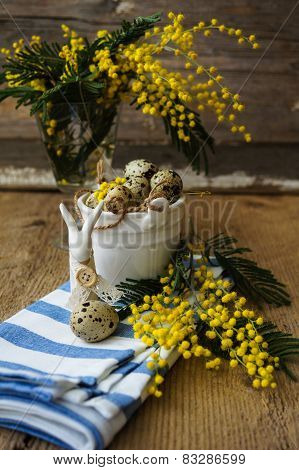 Spring Time, Yellow Mimosa Flowers