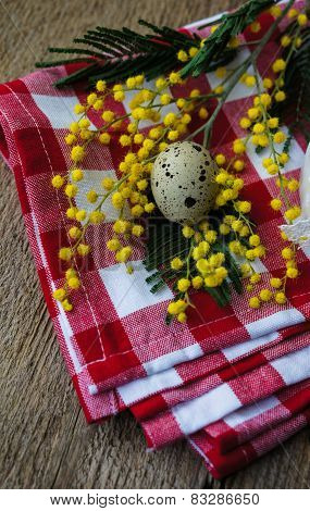 Spring Time, Yellow Mimosa Flowers