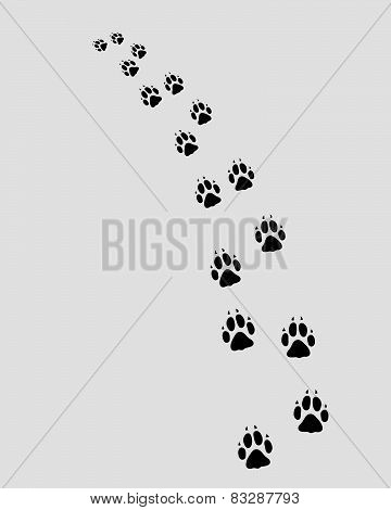 footprints of dog 2