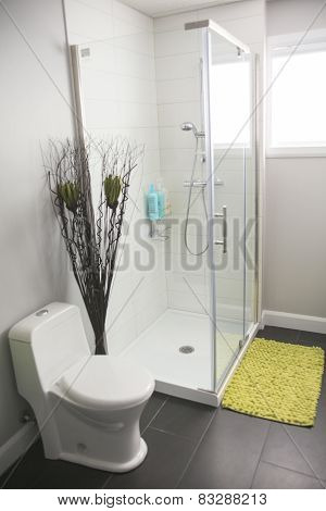 A modern bathroom with shower in a house.