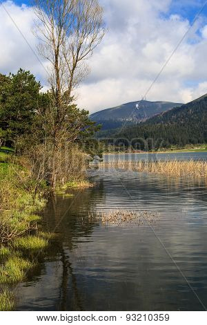 Lake View With Mountain