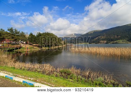 Path Along Lake