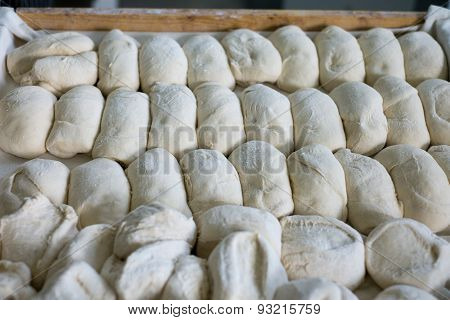 Large Tray Of Unbaked Bread Rolls