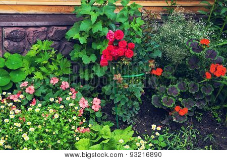 Beautiful Summer Designed Corner Of Formal Stylish Blossoming Green Garden