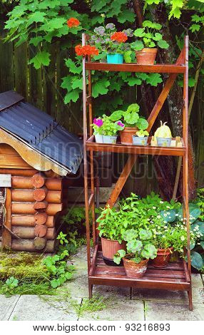 Beautiful Summer Designed Garden With Dog House And Wooden Rack