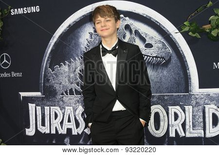 LOS ANGELES - JUN 9:  Ty Simpkins at the 