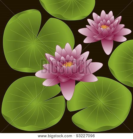 Lotus flowers with green leaves