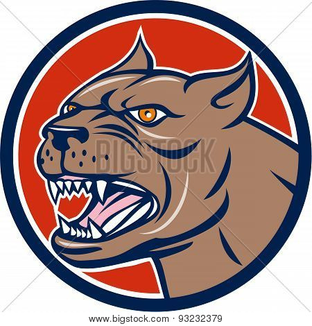 Pitbull Dog Mongrel Head Circle Cartoon