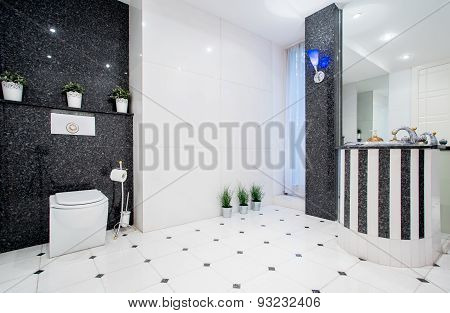 Modern Black And White Toilet