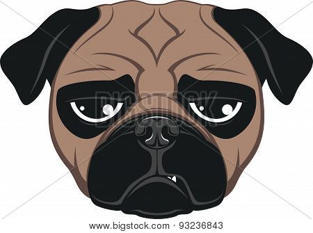 Funny dog