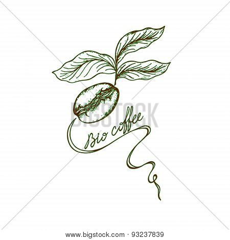 Bio Coffee