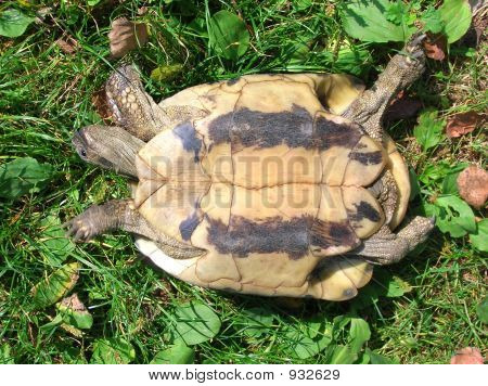 サポートが必要な