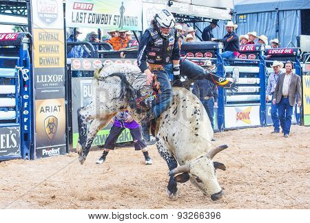 Last Cowboy Standing