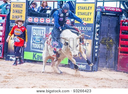 Last Cowboy Standing