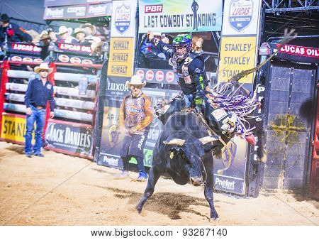 Last Cowboy Standing