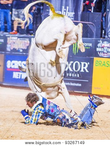 Last Cowboy Standing