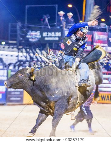 Last Cowboy Standing