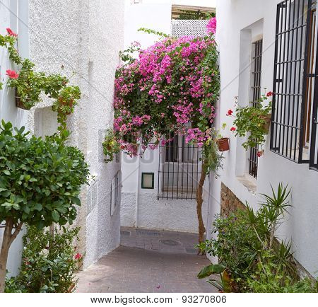Mojacar Almeria white Mediterranean village in Spain