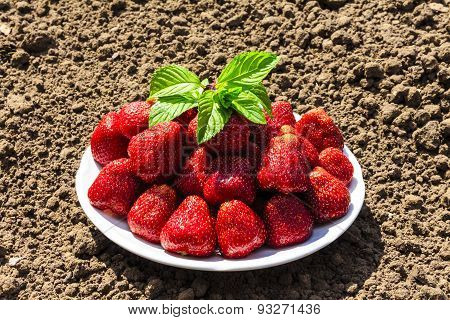 strawberry
