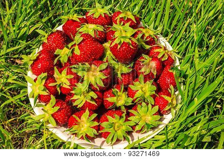 strawberry